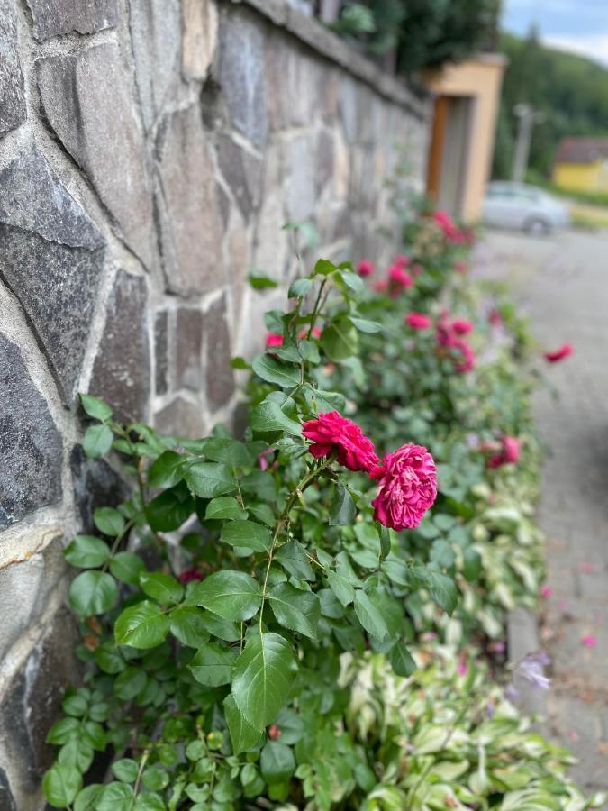 Готель Vila Man Совата Екстер'єр фото